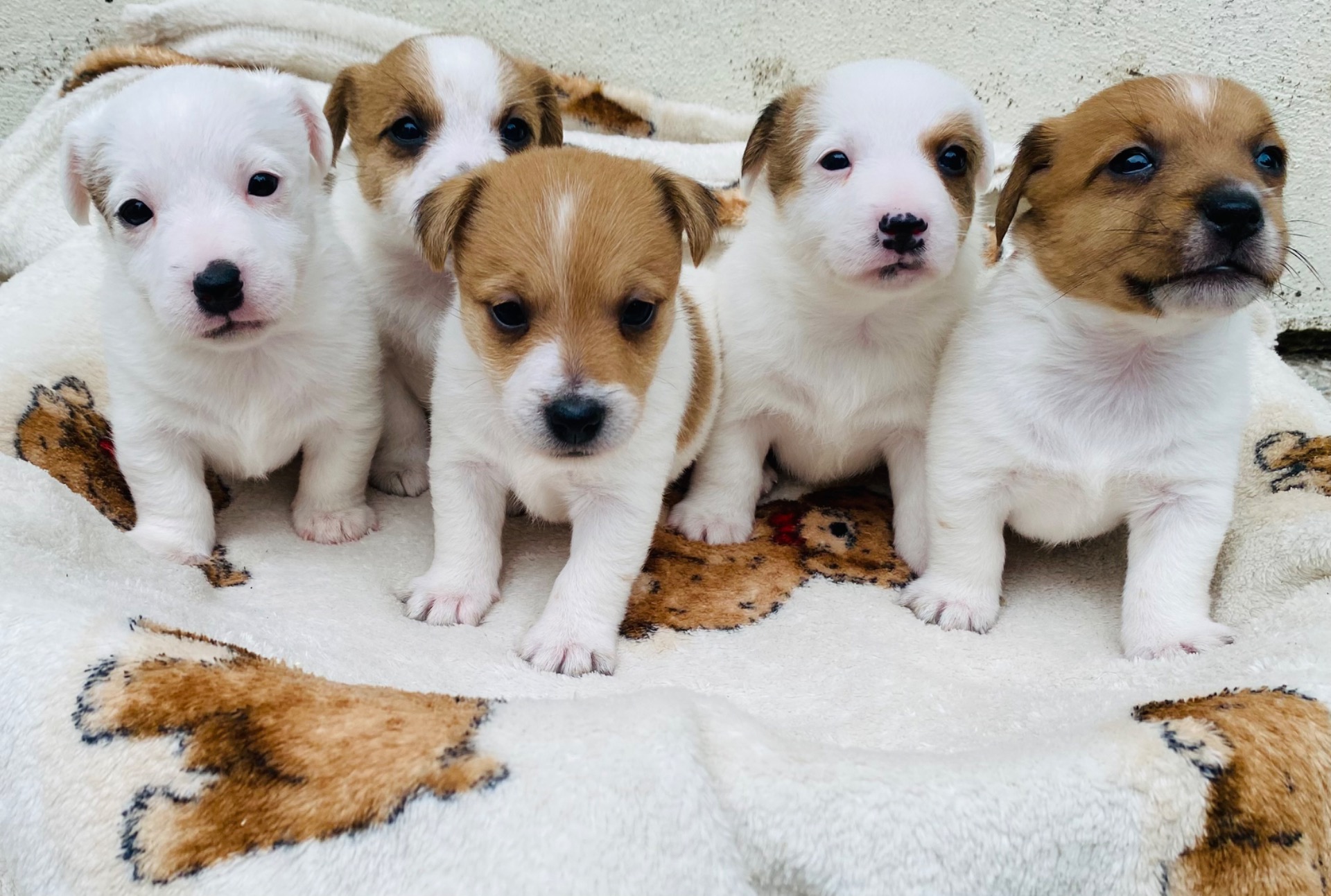 The kids at 4 weeks
