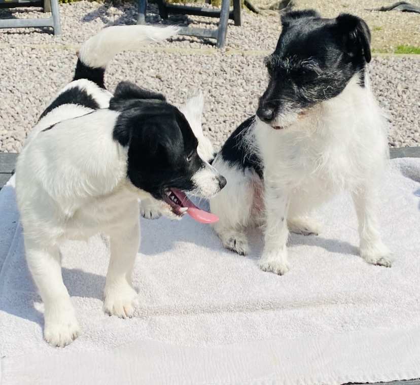 With his granny Nellie