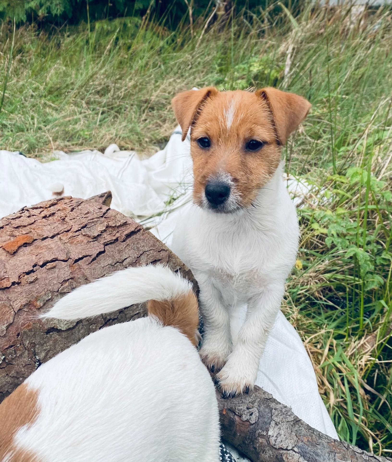 Jack hopes to have his own family.