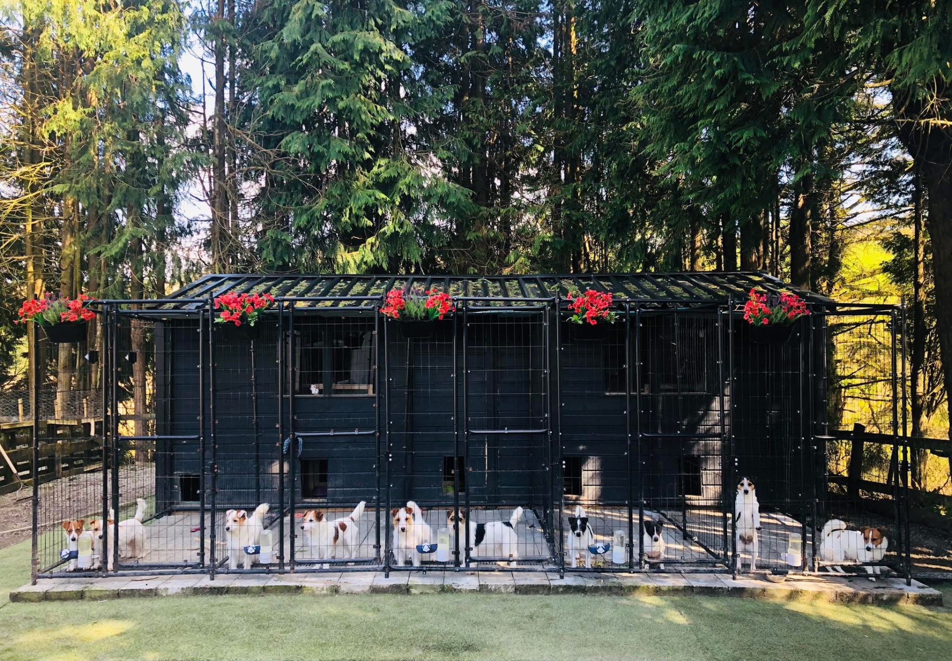 When I have to work, they have their own house! 