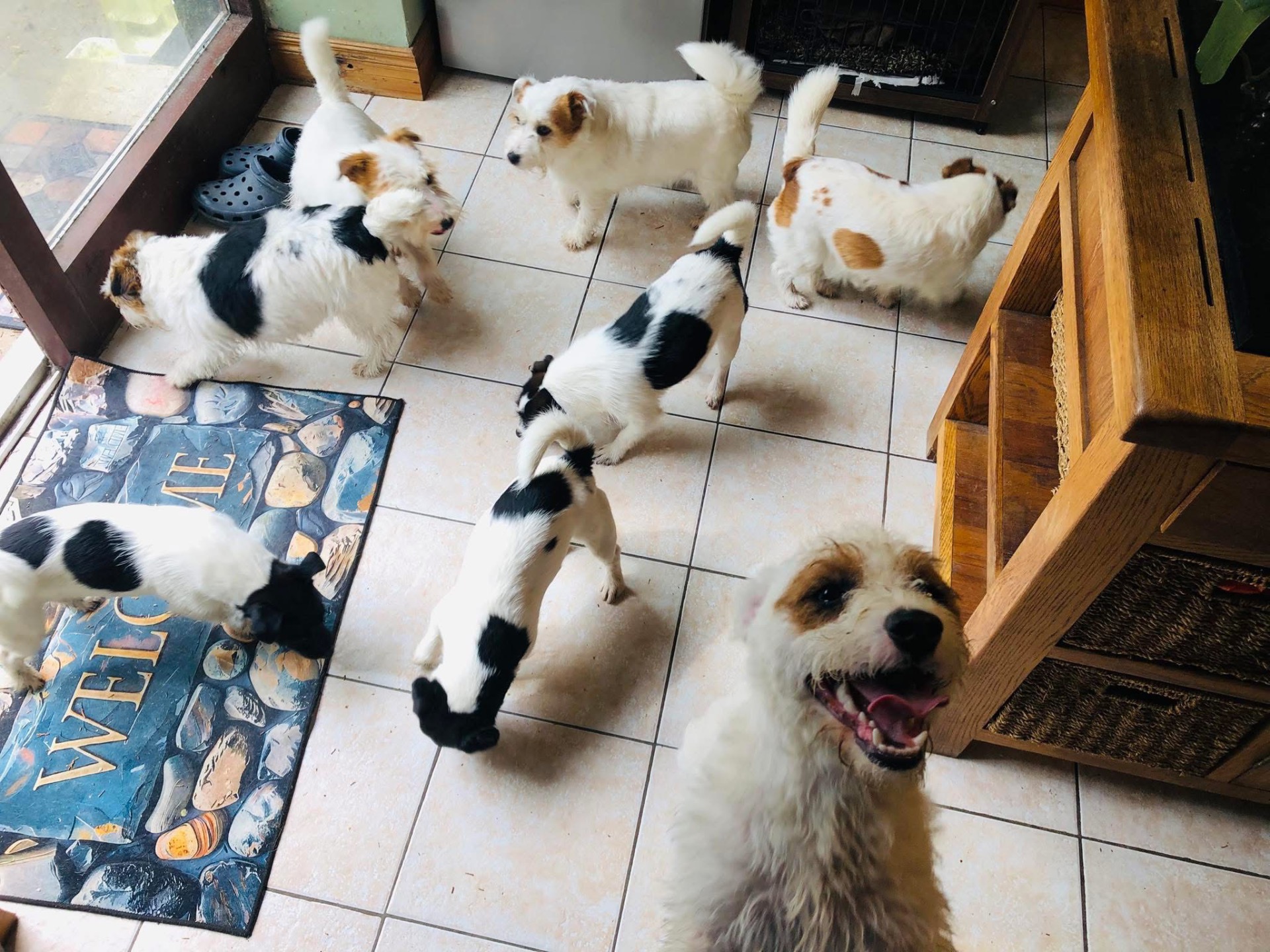 When i’m not busy, it is chaos! :)